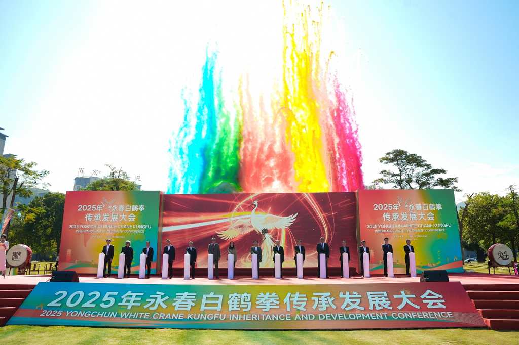 人民艺术 |  永春白鹤拳传承发展大会举办 以武为媒推动非遗走向世界